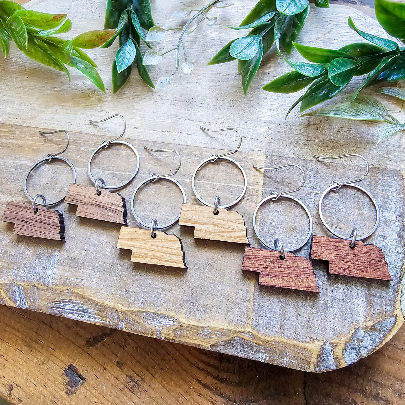 Nebraska (Wood) + Steel Hoop Earrings