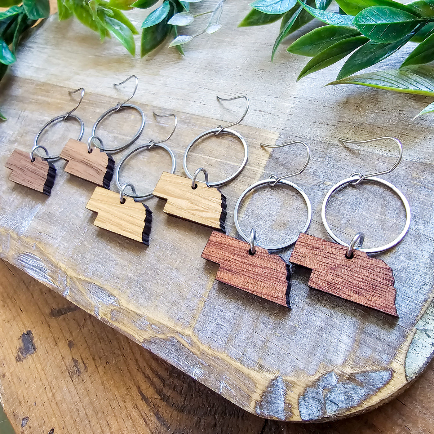 Nebraska (Wood) + Steel Hoop Earrings