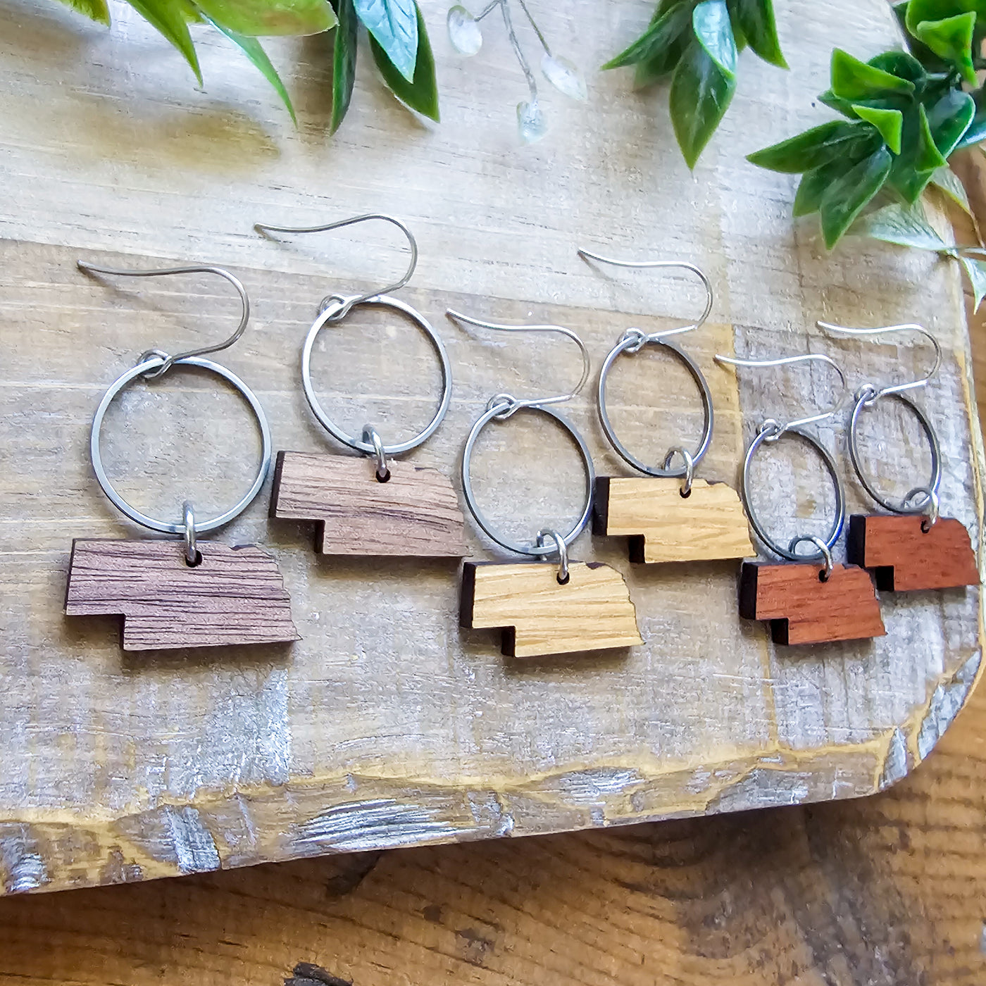 Nebraska (Wood) + Steel Hoop Earrings